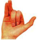 Para-mudra